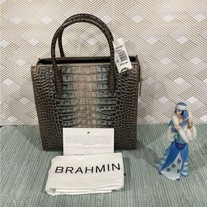 Brahmin Caroline in Petrol Magnus